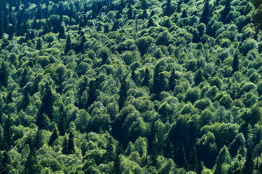 Similar image 21751854