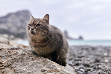 Similar image 21753353