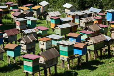 Similar image 21753759