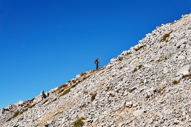 Similar image 21753958