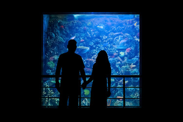 Similar image 21755013