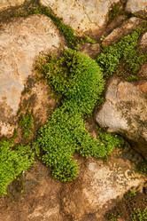 Similar image 21755180