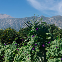 Similar image 21755359