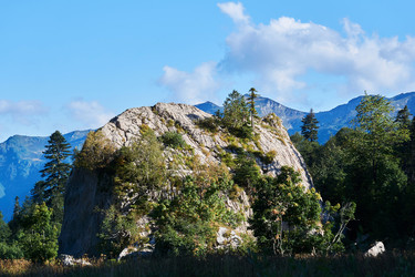 Similar image 21756202