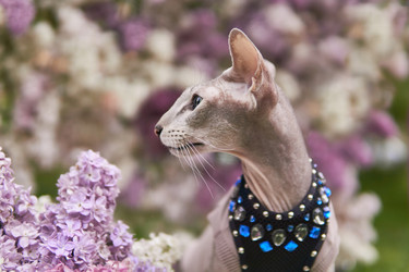 Similar image 21756386