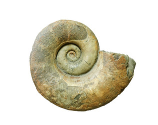 Similar image 21751989