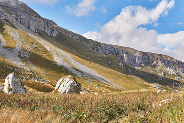 Similar image 21751991