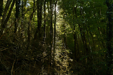 Similar image 21752256