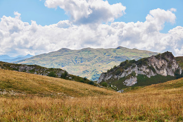 Similar image 21752661