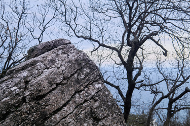 Similar image 21752667
