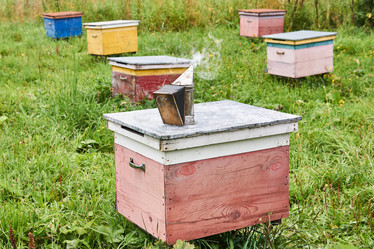 Similar image 21752679