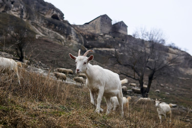 Similar image 21753763