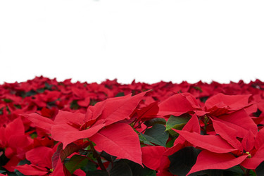 Similar image 21754365