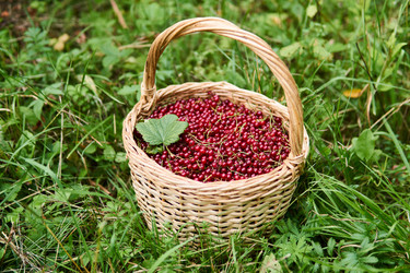 Similar image 21754579