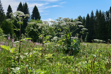 Similar image 21754788