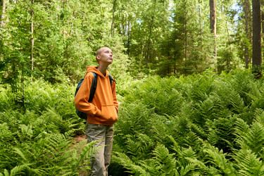 Similar image 21754789