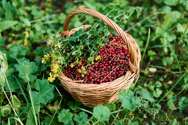 Similar image 21755023