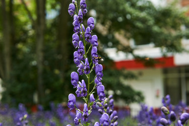 Similar image 21755195