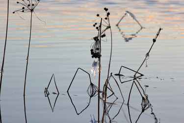 Similar image 21751667