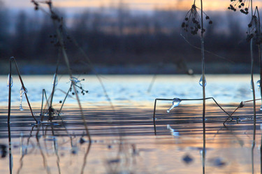 Similar image 21751668