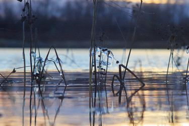 Similar image 21751669