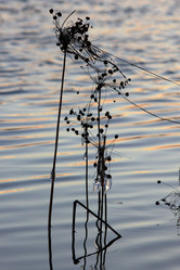 Similar image 21751670