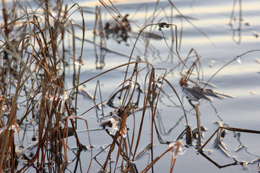 Similar image 21751672