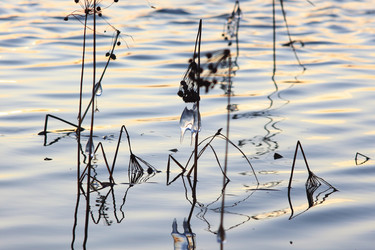 Similar image 21751673