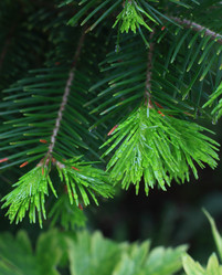 Similar image 21751674