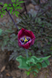 Similar image 21751675