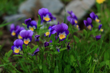 Similar image 21751677