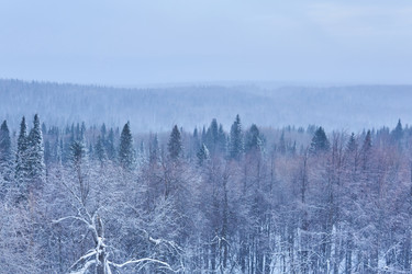 Similar image 21756217