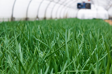 Similar image 21756221