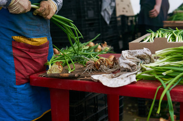 Similar image 21756222