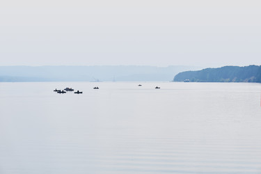 Similar image 21756397