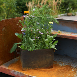 Similar image 21756409