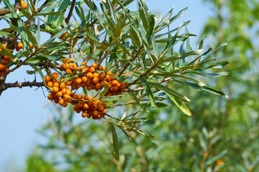 Similar image 21752697