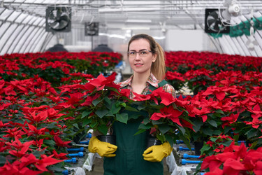 Similar image 21752698