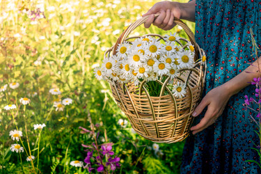 Similar image 21753047