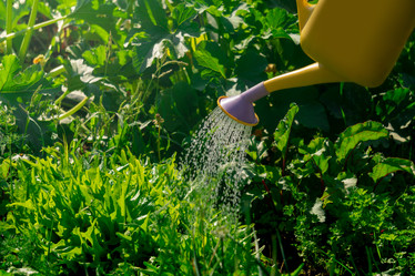 Similar image 21753371