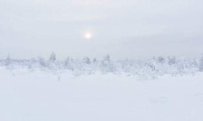 Similar image 21753767