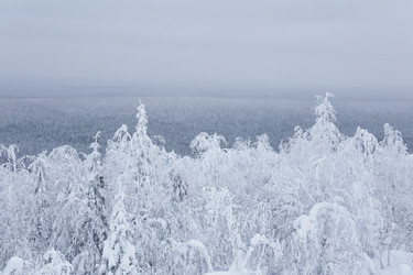 Similar image 21753773