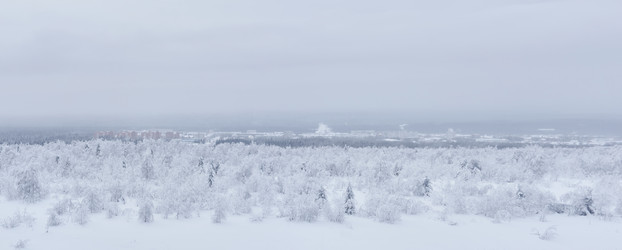 Similar image 21753976