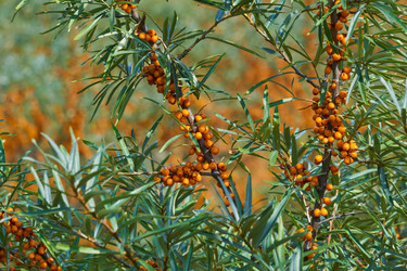 Similar image 21754371