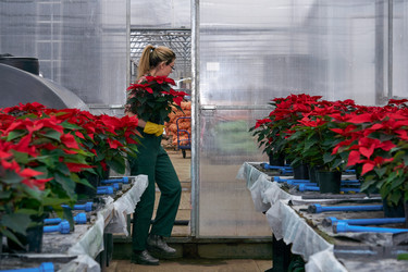 Similar image 21754374