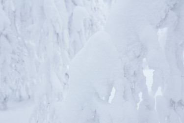 Similar image 21754590