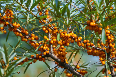 Similar image 21754801