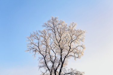 Similar image 21754803