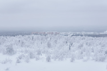 Similar image 21757291