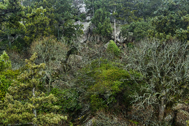 Similar image 21757308